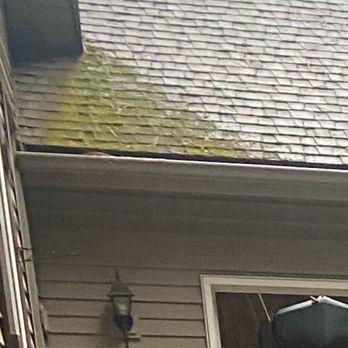 Keeping It Clean - Roof with moss - Gutter Services Near Me Keeping It Clean - Roof with moss - Gutter Services Near Me