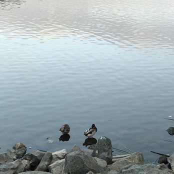 Lakeview Park - Parks Near Me - San Marcos, California Lakeview Park - Parks Near Me - San Marcos, California