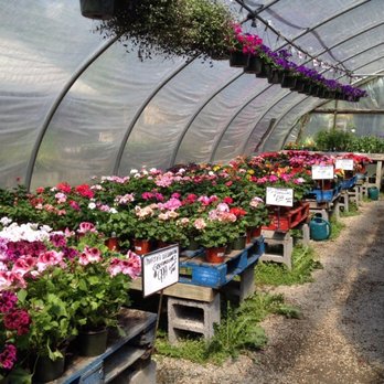 J R Wright & Sons - Nurseries & Gardening Near Me - Silver Spring, Maryland