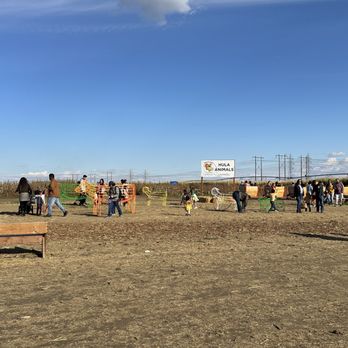 Middleton’s Fall Festival - Festivals Near Me - Pasco, Washington Middleton’s Fall Festival - Festivals Near Me - Pasco, Washington