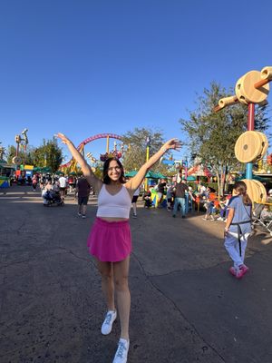 Toy Story Land by null