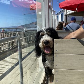 Wooly's - Hey ! - Seafood Near Me - Pismo Beach, California