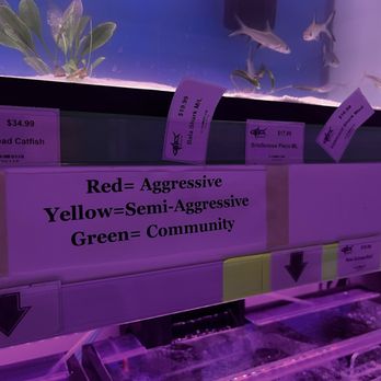 C-Macs Aquarium - Local Fish Stores Near Me - Gastonia, North Carolina C-Macs Aquarium - Local Fish Stores Near Me - Gastonia, North Carolina