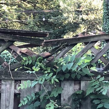 Ax Tree Services - Ax dropped a tree branch on my fence and broke it. I asked them repeatedly to fix it and they never did. - Landscaping Near Me - Bealeton , Virginia