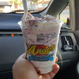 Vanilla Custard
