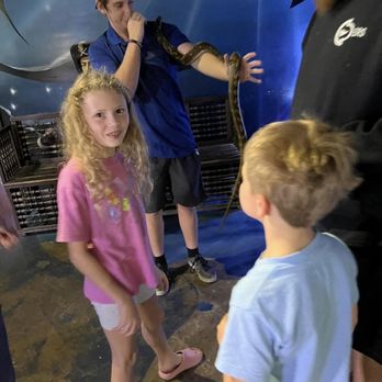 Austin Aquarium - Aquariums Near Me - Austin, Texas Austin Aquarium - Aquariums Near Me - Austin, Texas