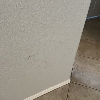 Last Speckle Cleaning - Obvious marks needing cleaned on walls soap and water - Home Cleaning Near Me