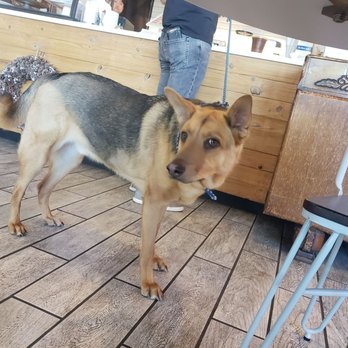 Ugly Mug Cafe & Coffee Roasters - Interbay - Dog friendly - Coffee & Tea Near Me - Seattle, Washington Ugly Mug Cafe & Coffee Roasters - Interbay - Dog friendly - Coffee & Tea Near Me - Seattle, Washington