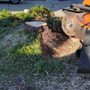Photo of Stump Grinding Solutions