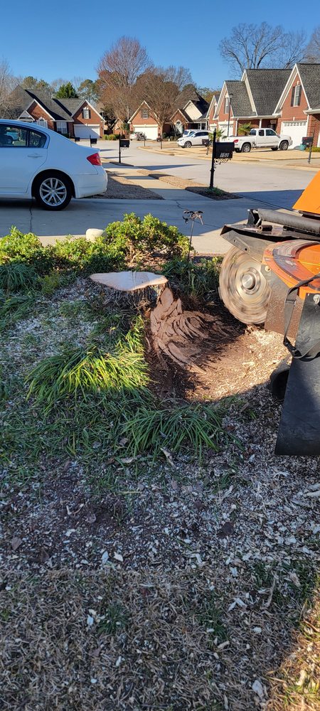 Stump Grinding Solutions - tree service in Columbia, SC