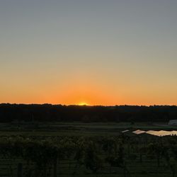 White Timbers Winery - Sunset