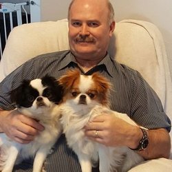 Chinny Chin Chin Kennel - Two of our many Chins that have come into our lifes.