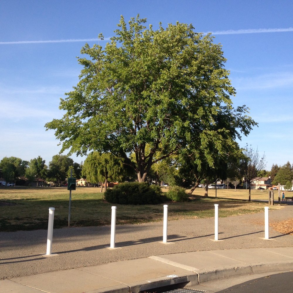 Tex Spruiell Park - This path goes all around the park and is suitable for walking and bicycling. - Parks Near Me - Livermore, California Tex Spruiell Park - This path goes all around the park and is suitable for walking and bicycling. - Parks Near Me - Livermore, California