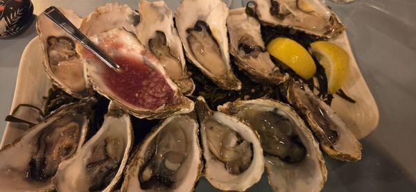 The Oystermen Seafood Bar & Kitchen by null The Oystermen Seafood Bar & Kitchen by null