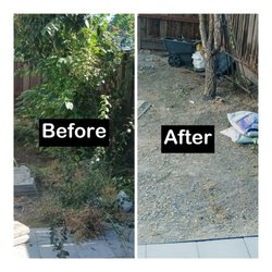 Me Landscaping - today's cleaning