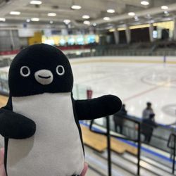 Salt Lake City Sports Complex - Rink!