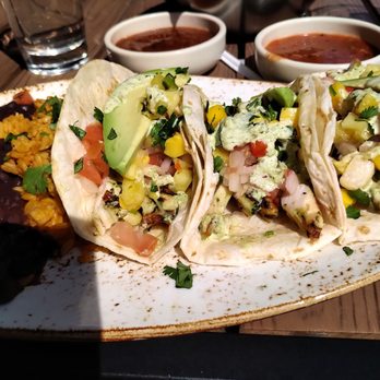 Cantina Laredo - The 3 tacos entree with chicken, mango salsa, avocado, Mexican rice, and black beans - Mexican Near Me - Virginia Beach, Virginia Cantina Laredo - The 3 tacos entree with chicken, mango salsa, avocado, Mexican rice, and black beans - Mexican Near Me - Virginia Beach, Virginia