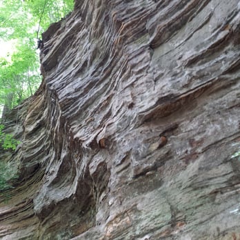 Turkey Run State Park - Along trail 4 down by the river - Parks Near Me - Marshall, Indiana