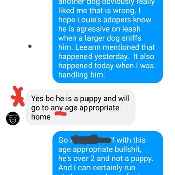Remember Me Rescue Ny - Conversation on messenger. - Pet Adoption Near Me Remember Me Rescue Ny - Conversation on messenger. - Pet Adoption Near Me