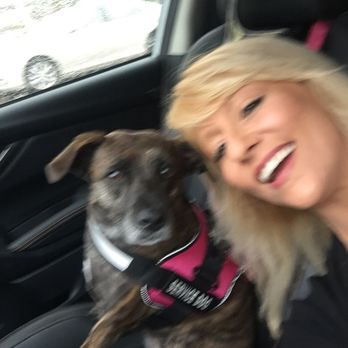 Petco - My pup and I finally found a groomer home - Pet Training Near Me - Tampa, Florida Petco - My pup and I finally found a groomer home - Pet Training Near Me - Tampa, Florida