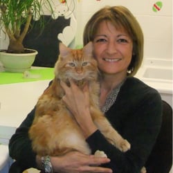 Cath Chat