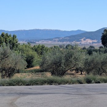 Keller Estate Winery - Wine Tasting Room Near Me - Petaluma, California