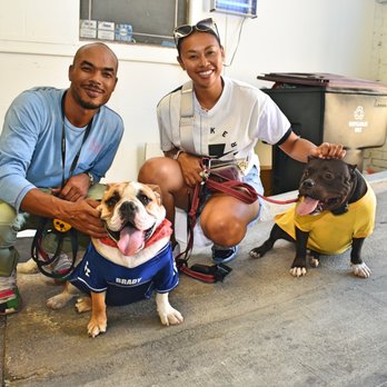 K9 Logic Dog Training - Pet Training Near Me - Glendale, California K9 Logic Dog Training - Pet Training Near Me - Glendale, California