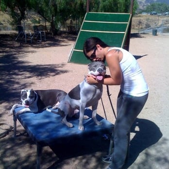 K9 Coach - Liz (very happy customer) with Rocky and Lily at the K9 Coach ranch. - Pet Training Near Me - Santa Clarita, California K9 Coach - Liz (very happy customer) with Rocky and Lily at the K9 Coach ranch. - Pet Training Near Me - Santa Clarita, California