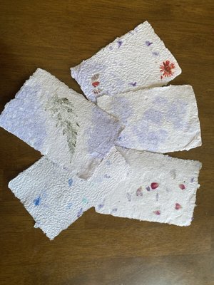 The Holland Project by null