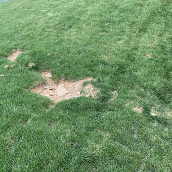 Young Entrepreneur Landscaping - a hole in the grass - Landscaping Near Me - Cincinnati, Ohio Young Entrepreneur Landscaping - a hole in the grass - Landscaping Near Me - Cincinnati, Ohio