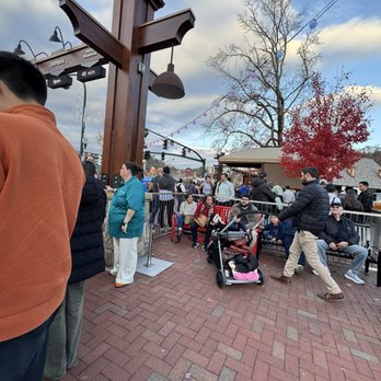 Anakeesta - VERY long, slow lines - Amusement Parks Near Me - Gatlinburg, Tennessee