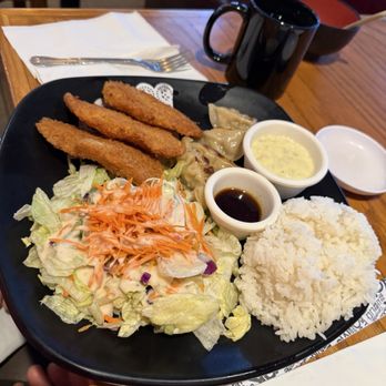 Hanamichi - Combo Gyoza, Fried Fish, salad and rice - Sushi Bars Near Me - National City, California