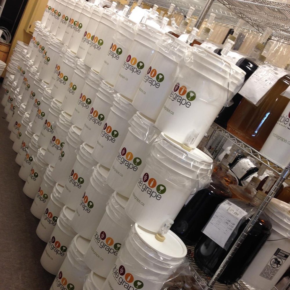 NOBLE GRAPE Updated October 2024 694 Main St., Kingston, Nova