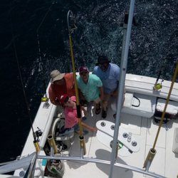 Towering sportfish