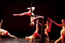 Ruth Page Center for the Arts by null