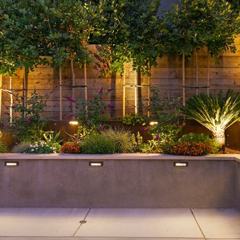 Tri Star Landscape Services - landscape lighting - Landscaping Near Me Tri Star Landscape Services - landscape lighting - Landscaping Near Me