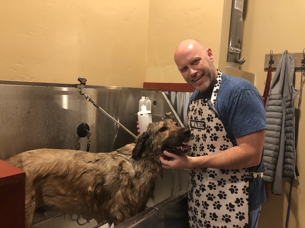 SUDS N PUPS DOG GROOMING AND WASH Updated October 2024 80 Photos