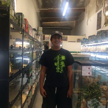 Painted Reptile - Perfect place for reptile lovers - Reptile Shops Near Me - Tarzana, California Painted Reptile - Perfect place for reptile lovers - Reptile Shops Near Me - Tarzana, California