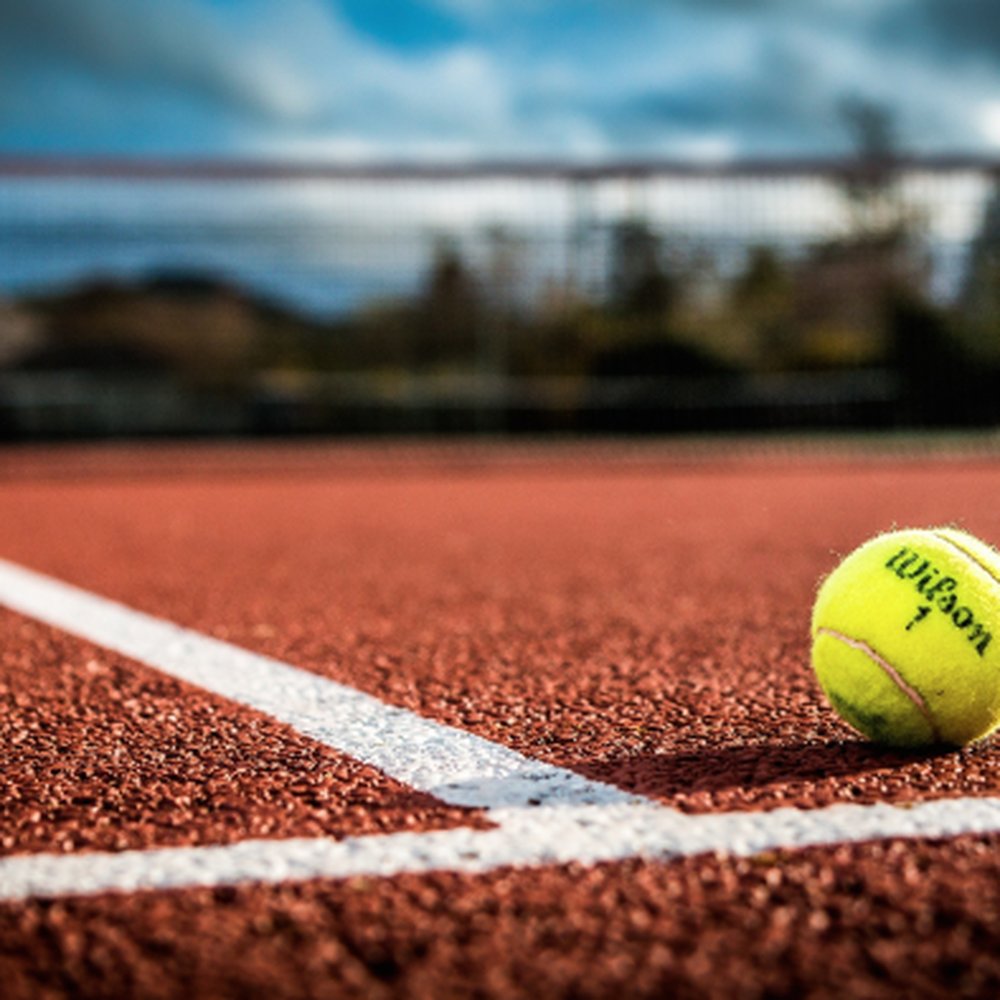 Zoom \u0026 Video Call Backgrounds - University of Tennessee at Chattanooga  Athletics, image size:1000x1000