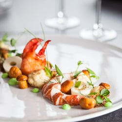 Ringhotel Aquarium - Hummer mit Gambas