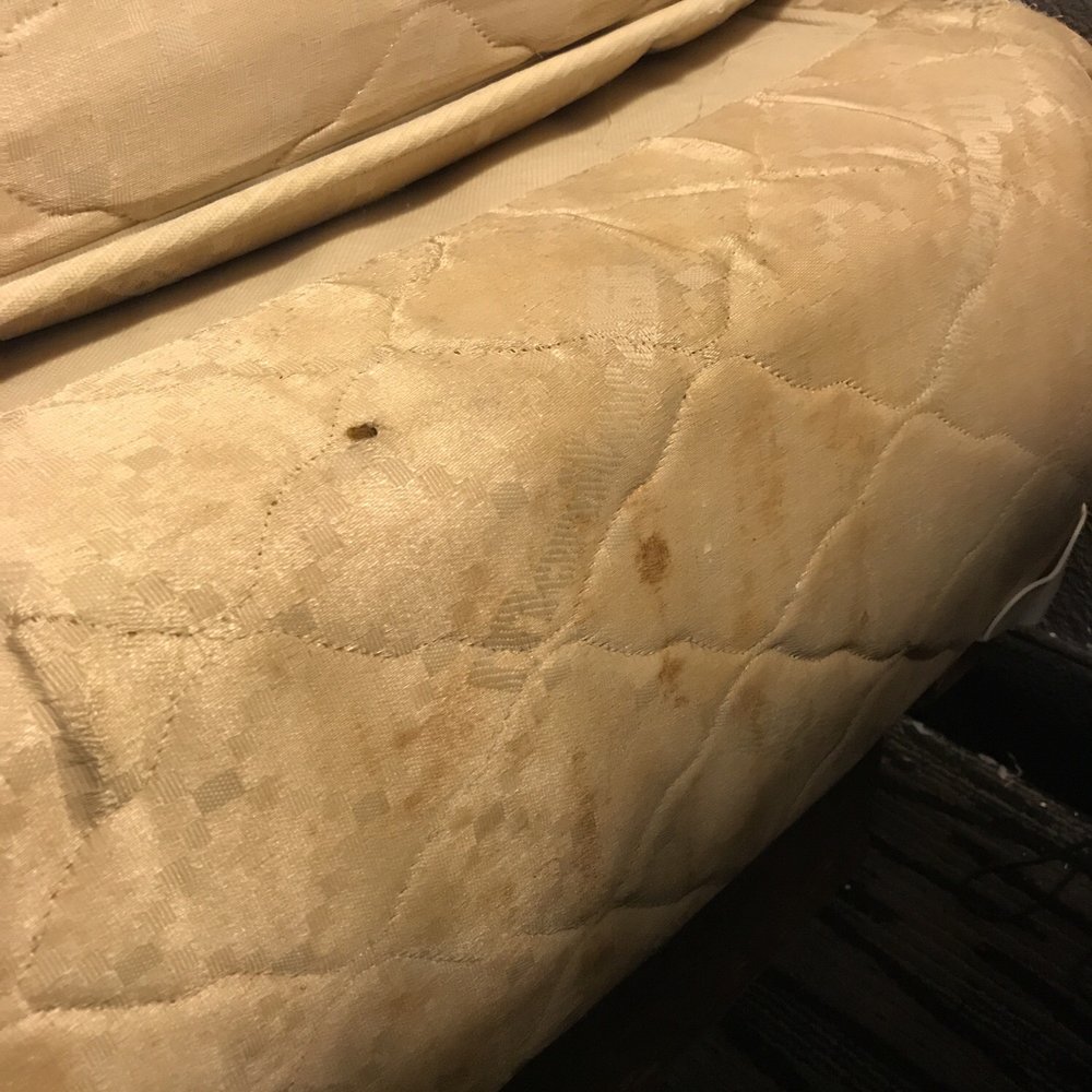 Americas Best Value - Dirty bed - Hotels Near Me - Hermitage, Tennessee Americas Best Value - Dirty bed - Hotels Near Me - Hermitage, Tennessee