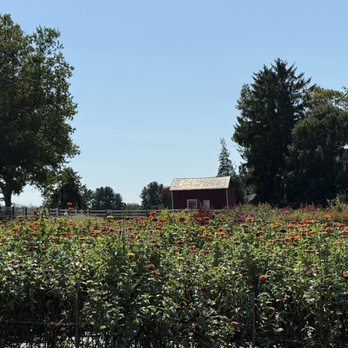 Temple Hall Farm Park - Parks Near Me - Leesburg, Virginia Temple Hall Farm Park - Parks Near Me - Leesburg, Virginia