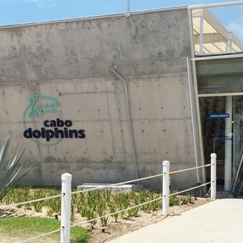 Cabo Adventures - Cabo Dolphins in Cabo San Lucas - Boat Tours Near Me - Cabo San Lucas, BCS Cabo Adventures - Cabo Dolphins in Cabo San Lucas - Boat Tours Near Me - Cabo San Lucas, BCS