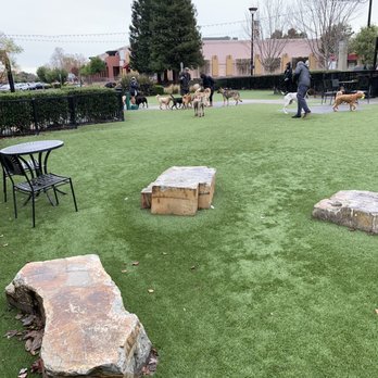 Village Green Dog Park - Some rock features for yappy dogs to climb on - Dog Parks Near Me - Mountain View, California