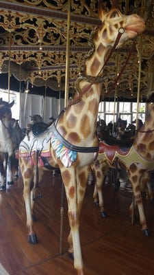 Kit Carson County Carousel by null