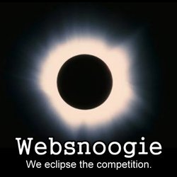 Websnoogie - Websnoogie - we eclipse the competition by offering high quality and affordable web design, internet marketing, and web hosti...