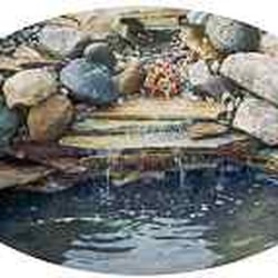 Water Garden Supplies