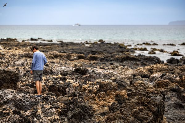 Keawakapu Beach by null