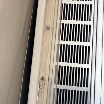 Found Study Midtown East - Black mold. - University Housing Near Me - New York, New York Found Study Midtown East - Black mold. - University Housing Near Me - New York, New York