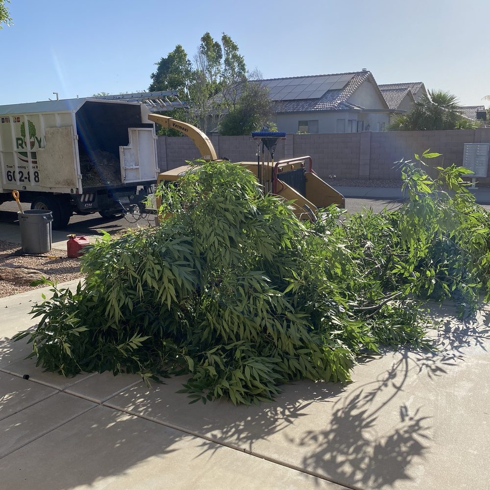 Roy's Trees - Limbs in the driveway - Tree Services Near Me Roy's Trees - Limbs in the driveway - Tree Services Near Me
